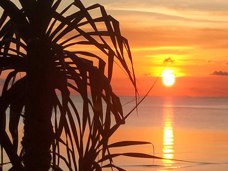 Quina Paradise Cottage, pilihan akomodasi baru bagi penikmat senja