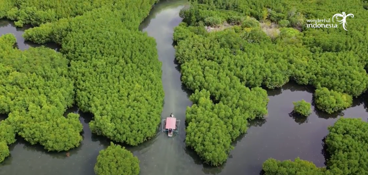 Hutan Mangrove Gusung