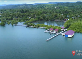 Taman Mangrove Matalalang