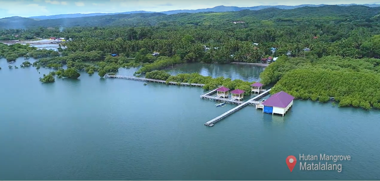 Taman Mangrove Matalalang