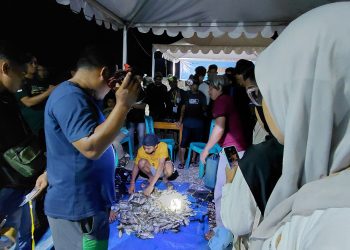 Di Balik Sunyi dan Gelapnya Malam, Ada Antusiasme Tak Terhingga saat Peserta Assulo Timbang Hasil Tangkapan
