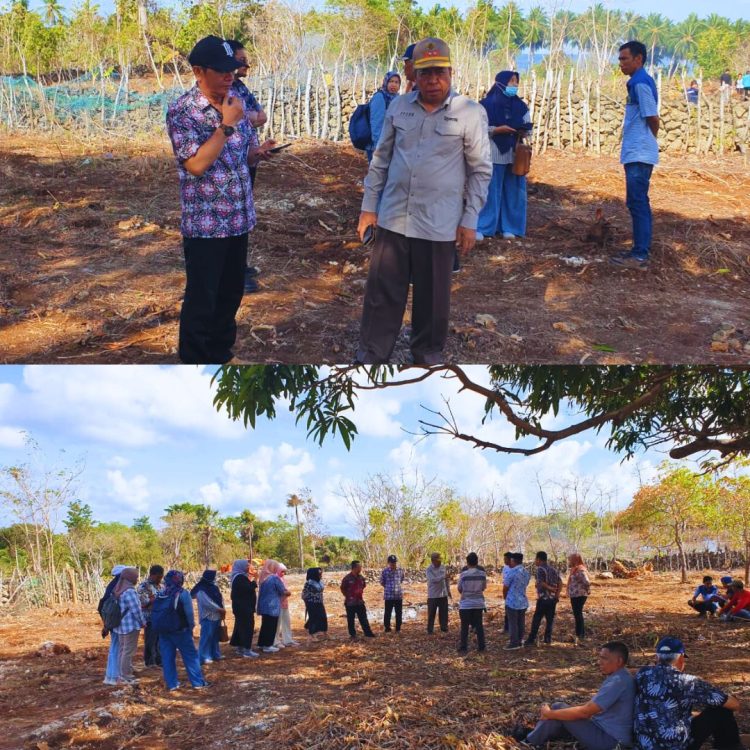 Pemkab Selayar Tinjau Kesiapan Lokasi Pelaksanaan Hari Jadi dan GEMERLAP, Siapkan Tradisi Budaya A’Lampareng