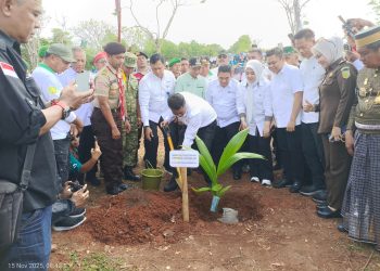 Launching Gemerlap: Ratusan Tunas Kelapa Ditanam, Jutaan Harapan Bermunculan