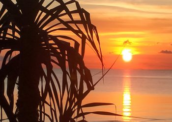 Quina Paradise Cottage, pilihan akomodasi baru bagi penikmat senja