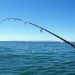 Kabar Gembira bagi para Mancing Mania, Lomba Mancing Kembali Diselenggarakan untuk Meramaikan Festival Takabonerate 2022