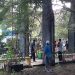 Lingkup OPD Pemkab Selayar Lakukan Kerja Bakti Bersama Demi Sukseskan Event Festival Takabonerate 2022