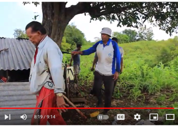 Tradisi A’rera di Kelurahan Batangmata Sapo, Kecamatan Bontomate’ne, Kepulauan Selayar