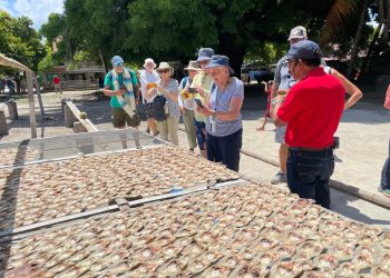 Kapal Pesiar Noble Caledonia Merapat di Jinato, Ratusan Warga Menyambut Antusias