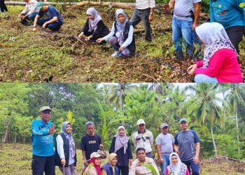Dampingi Desa Binaan, Disparbud Selayar Kawal Penanaman Perdana GEMERLAP di Desa Onto